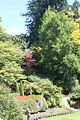133 - Butchard Gardens  - IMG_1642